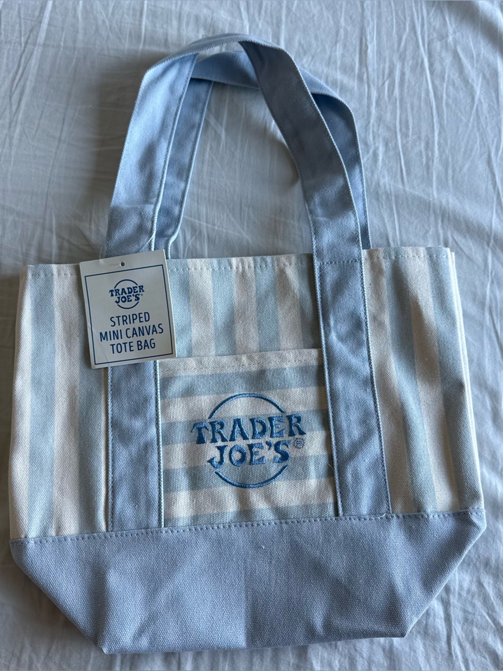 Trader Joe's Striped Mini Canvas Bag - Light Blue & Cream